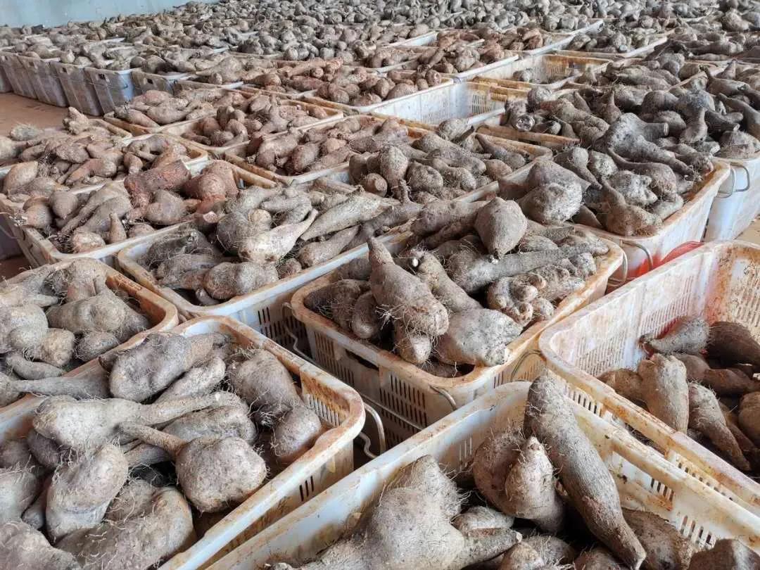 尊龙凯时·(中国集团)人生就是搏!