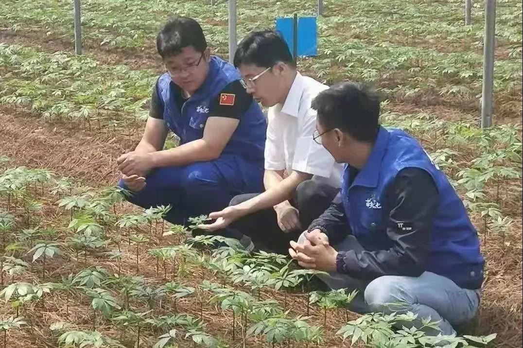尊龙凯时·(中国集团)人生就是搏!