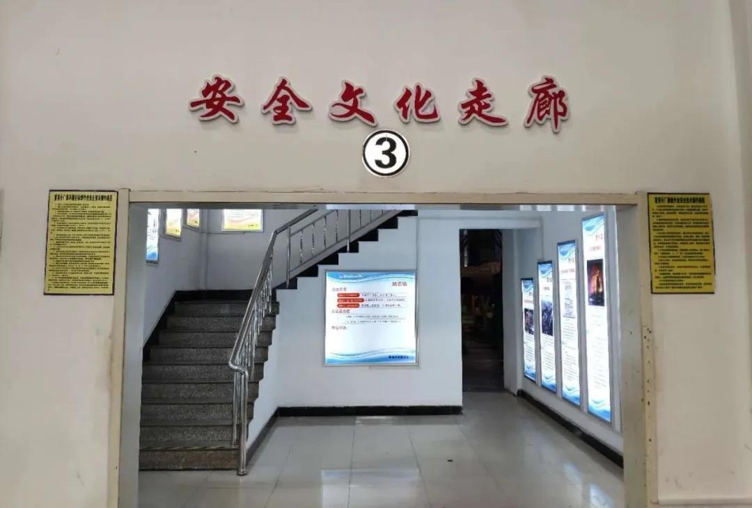 尊龙凯时·(中国集团)人生就是搏!